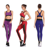 LI-FI Women Yoga Pants Mesh Patchwork Leggings Sports Vest Running Suits Comfortable Quick Dry Yoga Set Female Gym Wear