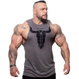 2019 New Mens Bodybuilding Skinny Tank top Gyms Fitness Cotton Sleeveless Shirt Crossfit Clothing Male Summer Singlet Undershirt